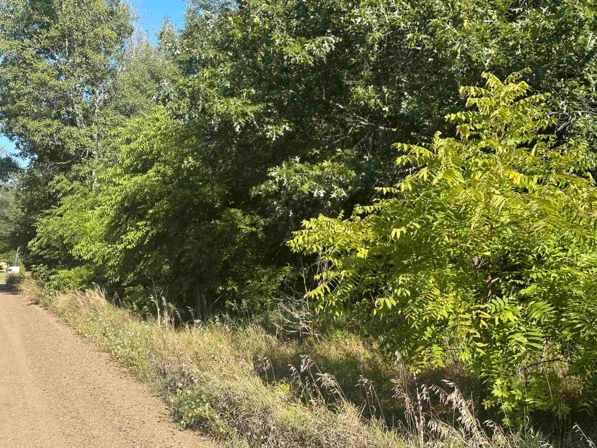 Lots 26-30 Willow, Lake, MI 48632 - Image #1