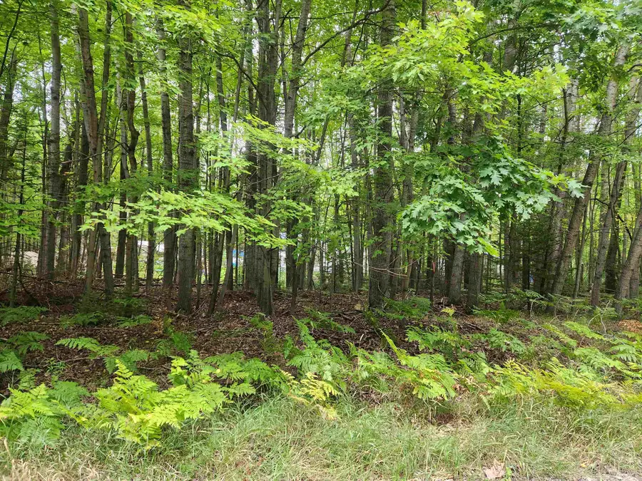 Lots 239, 240, 241 Havenwood, Lake, MI 48632 - Image #3