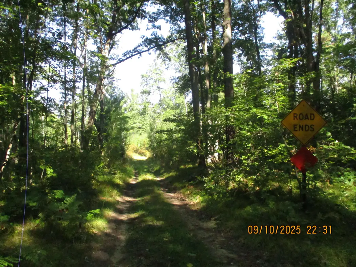 00 Firelane Trail, Lincoln, MI 48633 - Image #1