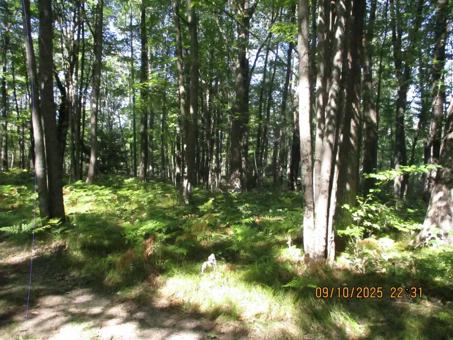 00 Firelane Trail, Lincoln, MI 48633 - Image #2