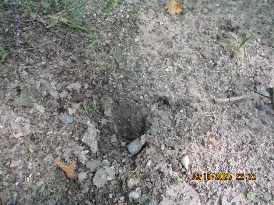 00 Firelane Trail, Lincoln, MI 48633 - Image #3