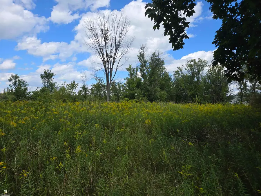 14296 Tubspring Vl, Allenton, MI 48002 - Image #3