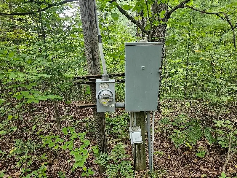 3900 N M 30, Gladwin, MI 48624 - Image #2