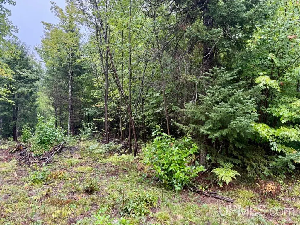 TBD Lot 1 Harborview, Munising, MI 49862 - Image #1