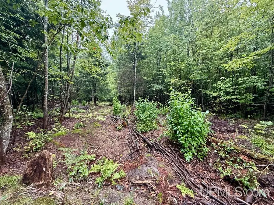 TBD Lot 1 Harborview, Munising, MI 49862 - Image #3