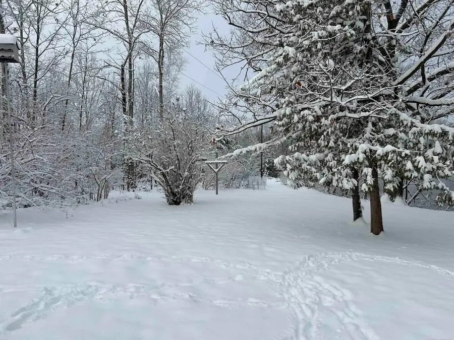 3510 N Branch, Beaverton, MI 48612 - #2