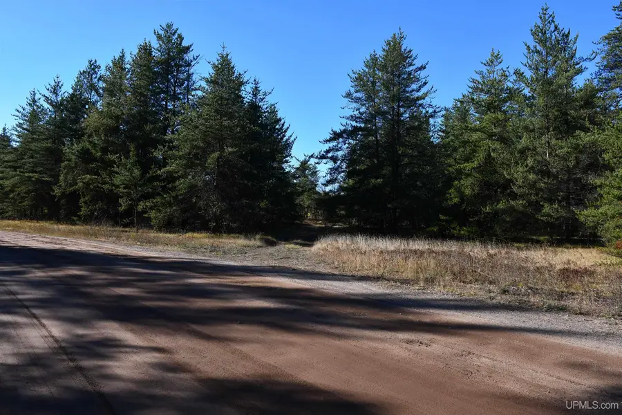 TBD E Provost Lake, Gwinn, MI 49841 - Image #3