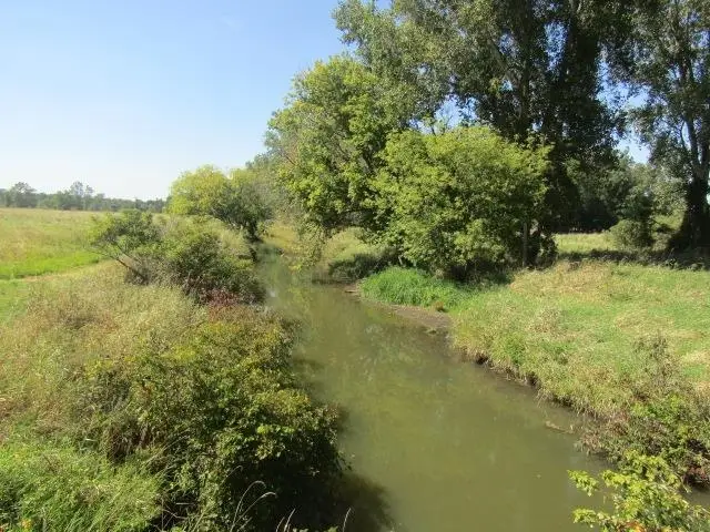 V/L Morrice Rd., Owosso, MI 48867 - Image #3