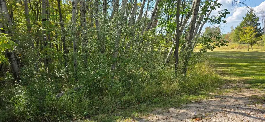 1832 Bye, Gladwin, MI 48624 - Image #3