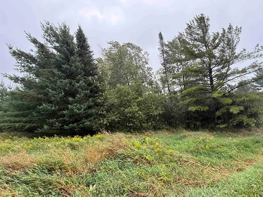 VL M55, Prescott, MI 48756 - Image #3