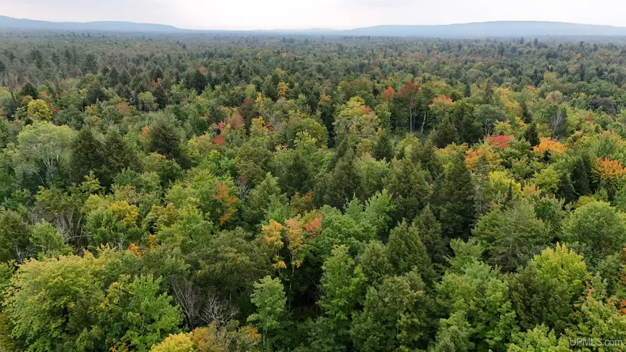 TBD240 Firesteel, Ontonagon, MI 49953 - Image #3