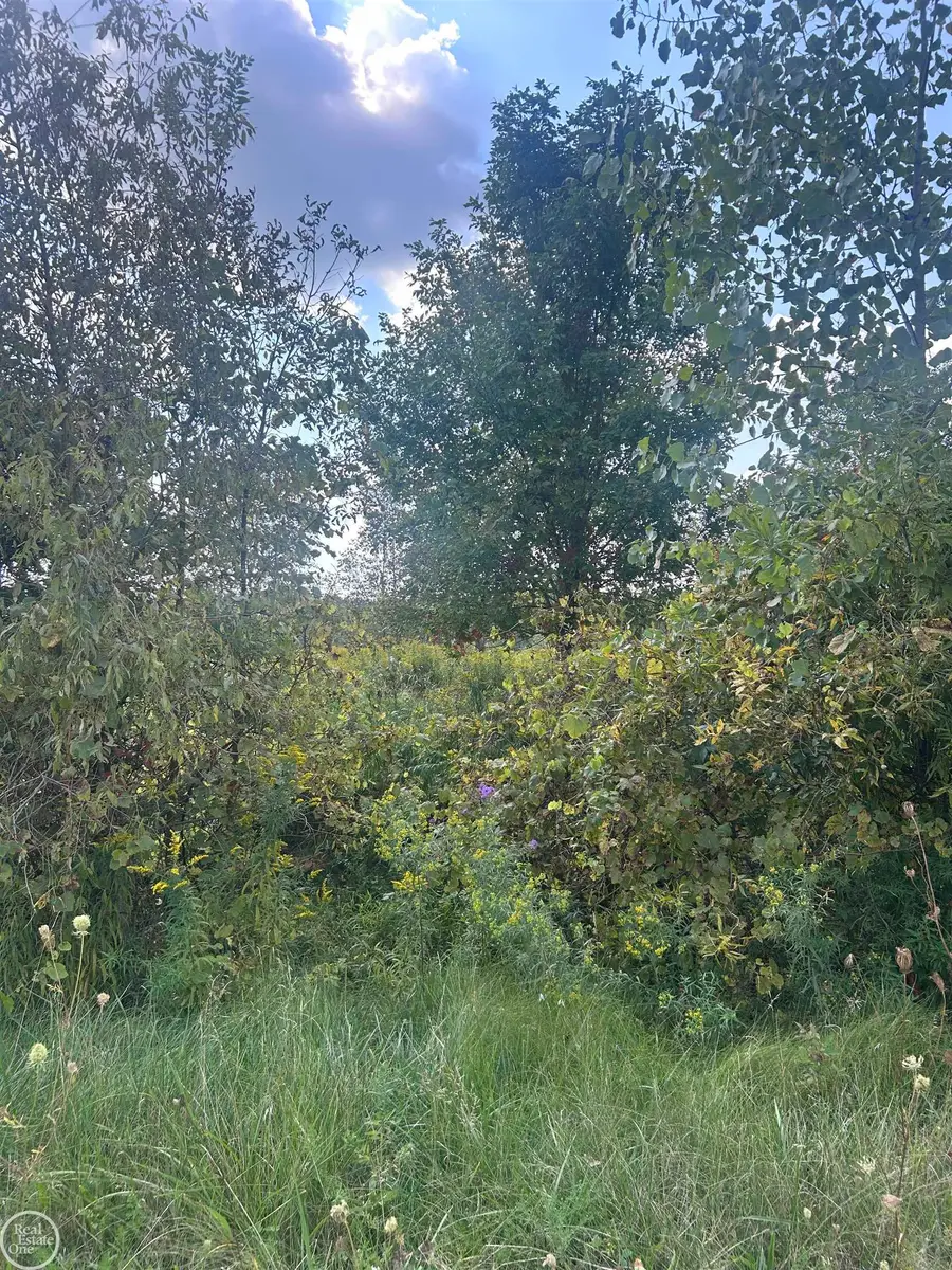 4 Ashley, Allenton, MI 48002 - Image #2