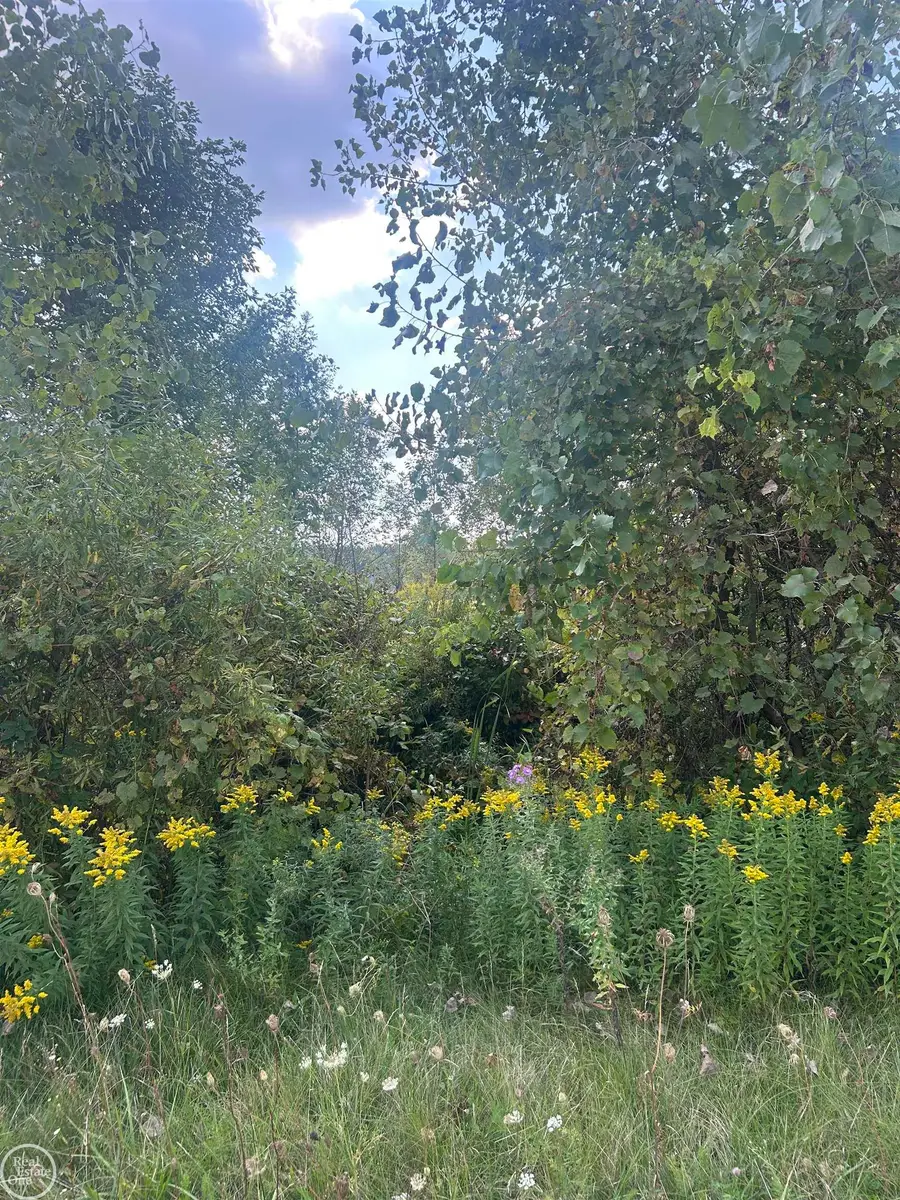 4 Ashley, Allenton, MI 48002 - Image #3