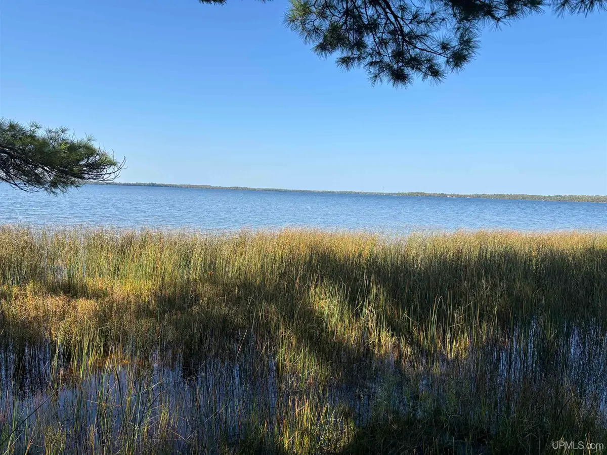 TBD Champ Elysees, Gould City, MI 49838 - Image #1