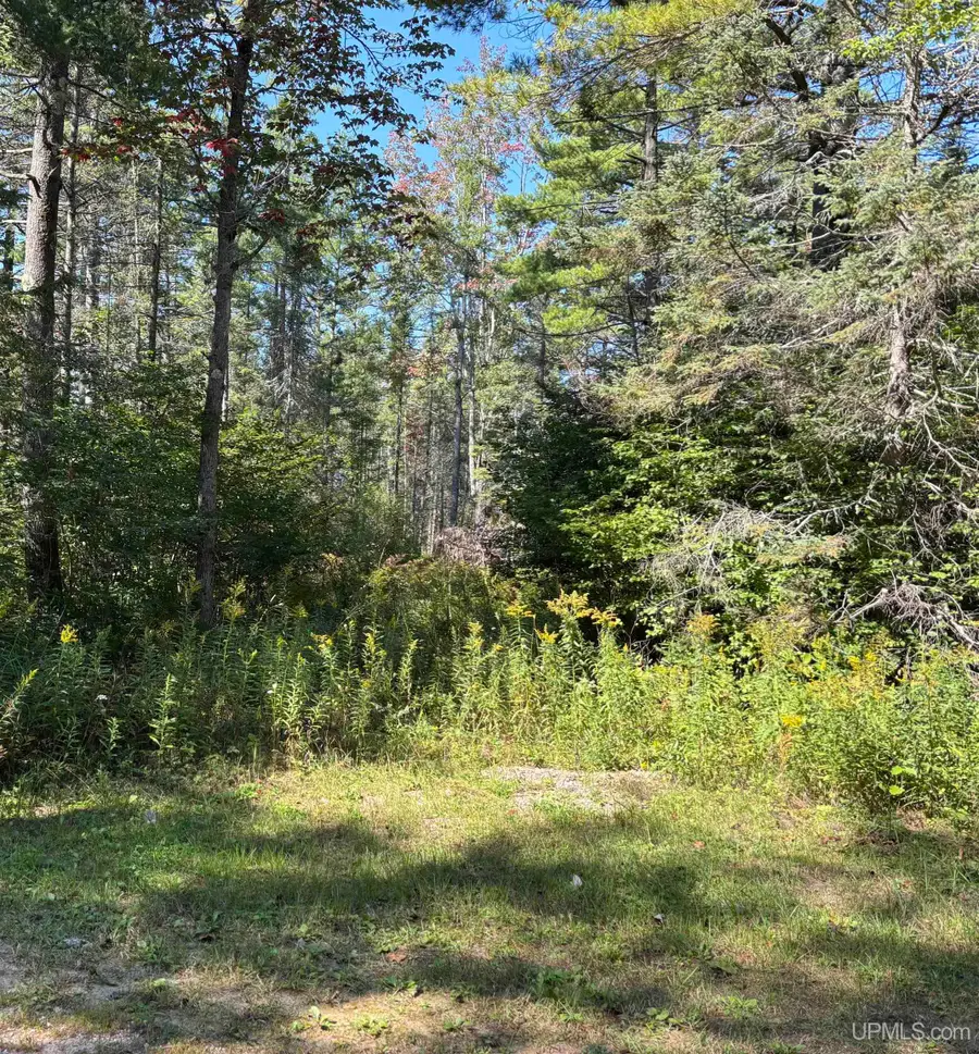 TBD Champ Elysees, Gould City, MI 49838 - Image #3