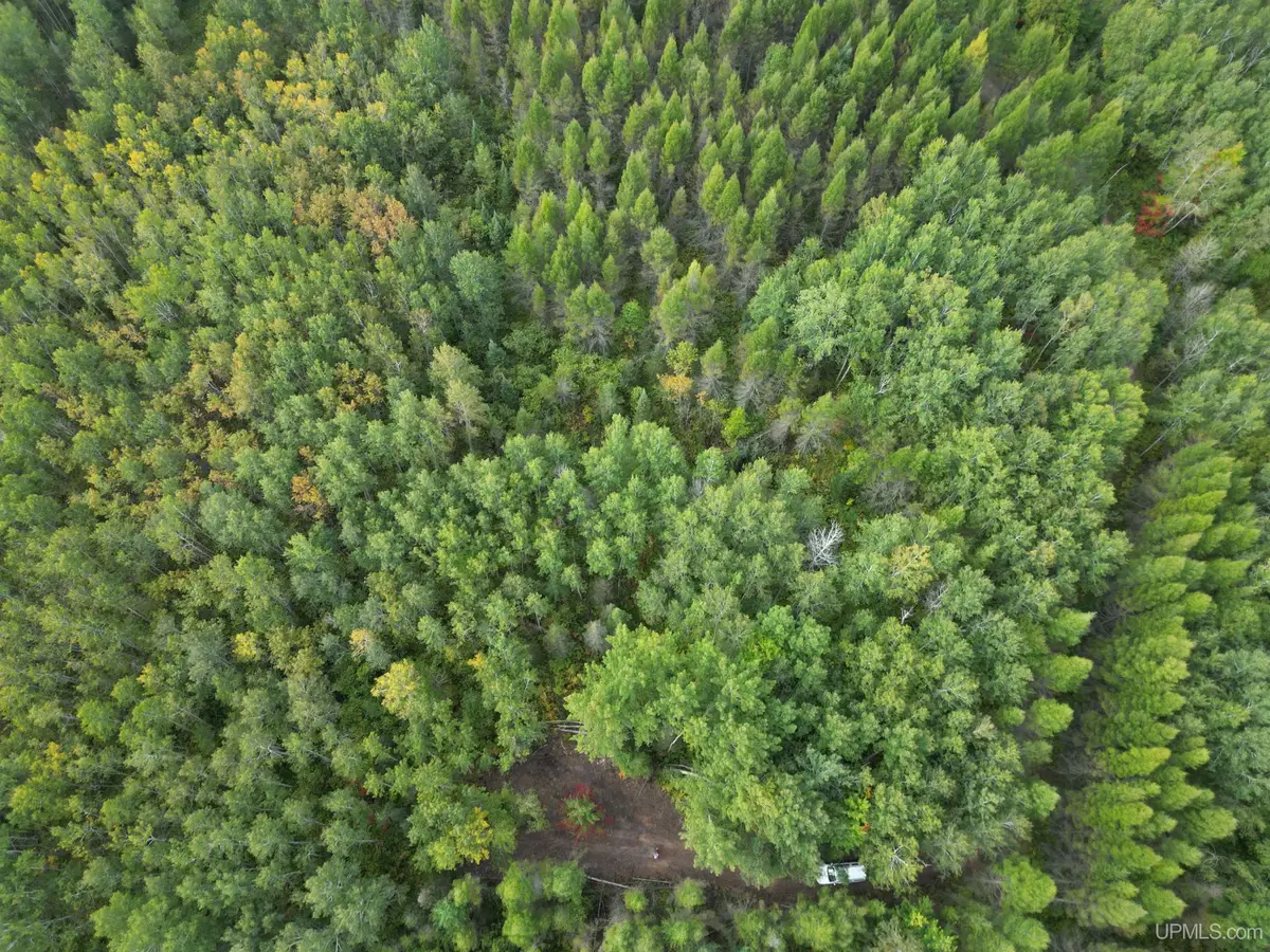 TBD Off Cr 426, Cornell, MI 49818 - Image #1