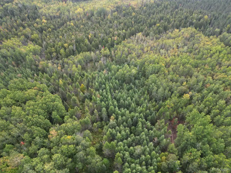 TBD Off Cr 426, Cornell, MI 49818 - Image #2