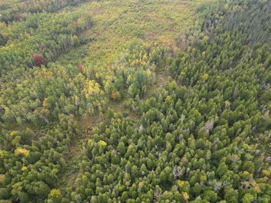 TBD Off Cr 426, Cornell, MI 49818 - Image #3