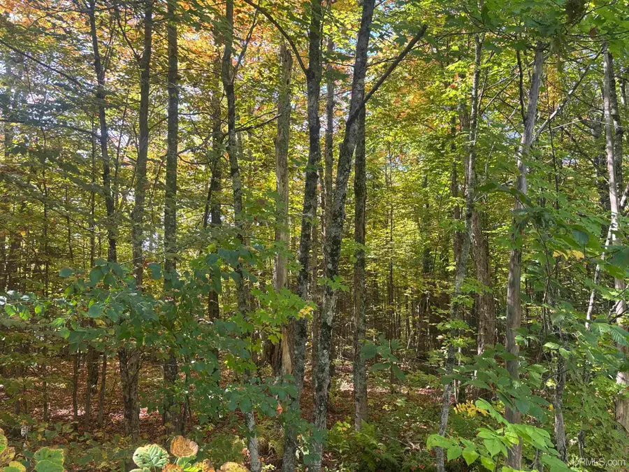 TBD Plymouth, Wakefield, MI 49968 - Image #3