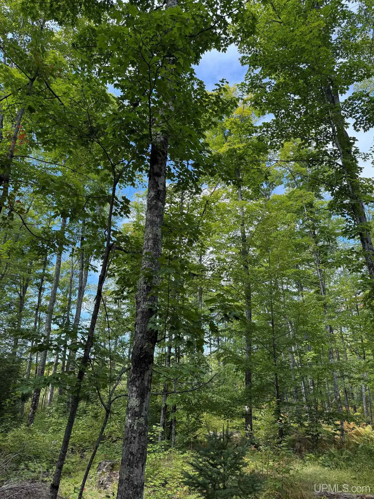 TBD Kiviranta, Nisula, MI 49952 - Image #1