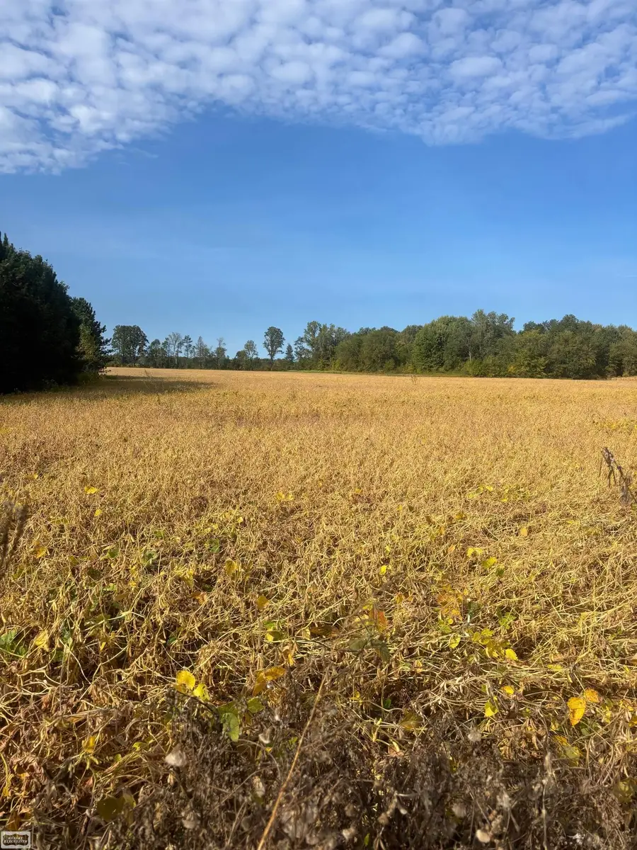 4452 Cole, Fort Gratiot, MI 48059 - Image #2