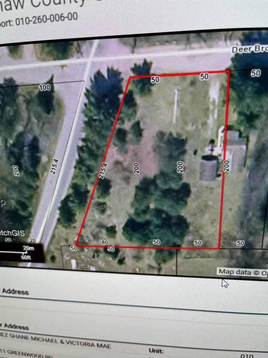 5235 Greenwood, Mills Township, MI 48756 - Image #2