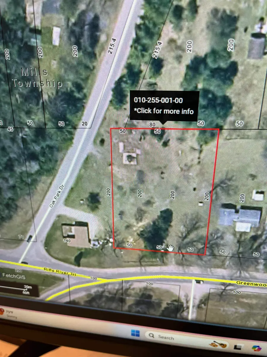 5235 Greenwood, Mills Township, MI 48756 - Image #3