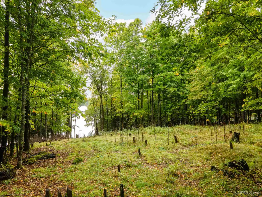 Lot K Wildwood, Iron River, MI 49935 - Image #3