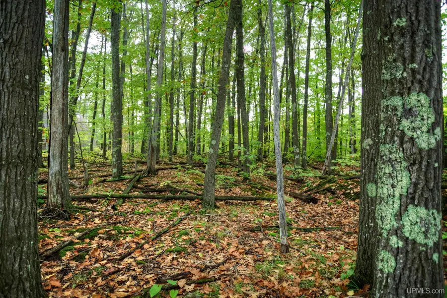 Lot 51 Thunderbird, Wakefield, MI 49968 - Image #2