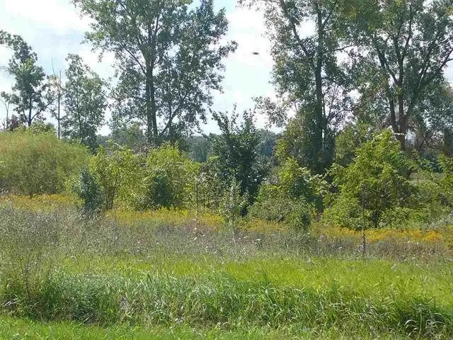 4235 Cahokia, Linden, MI 48451 - Image #2