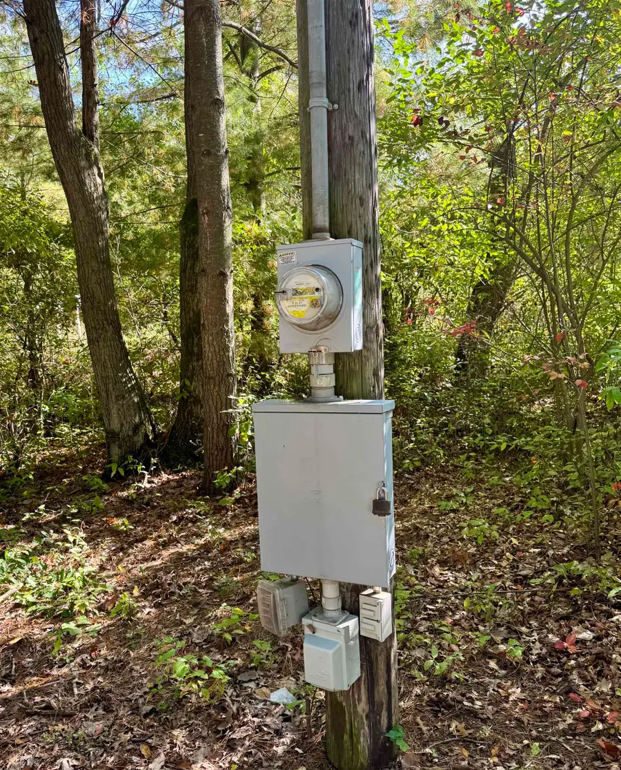 733 E Cranberry Lake, Harrison, MI 48625 - Image #3