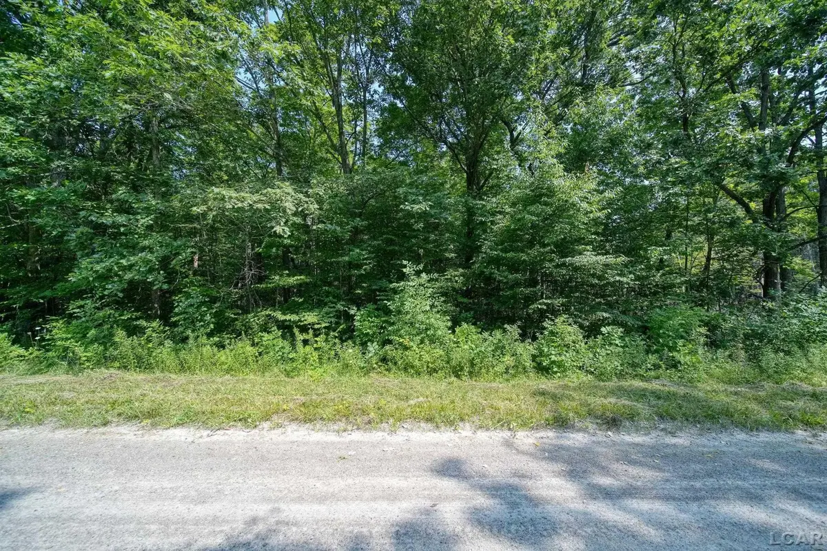 4610 Wynnewood, Camden, MI 49232 - Image #1