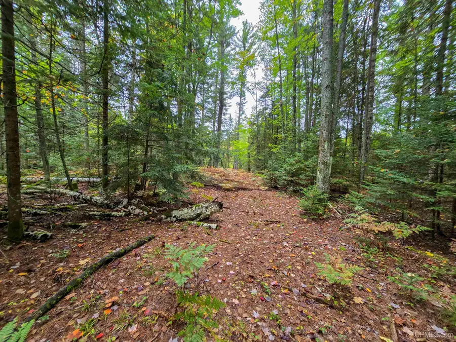 TBD Leatherleaf, Au Train, MI 49855 - Image #3