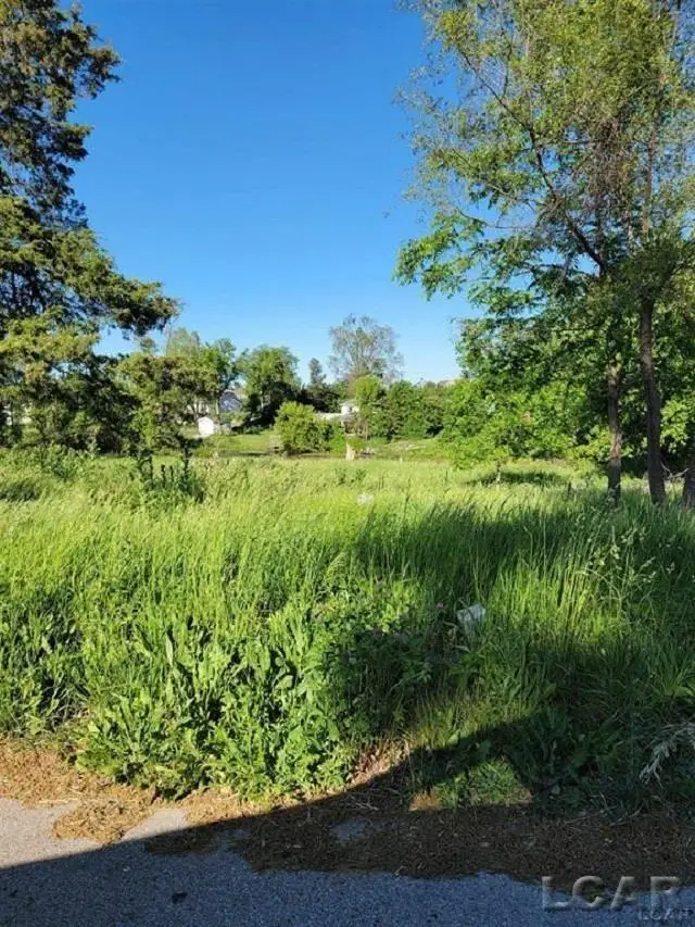 10000 M50, Onsted, MI 49265 - #2