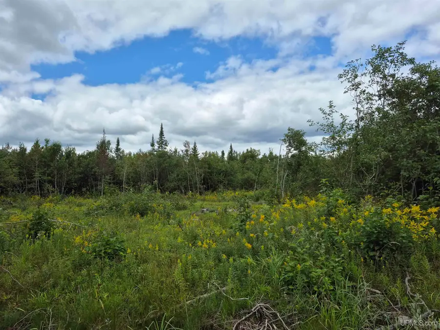 W 40 Acres Frenette, Gulliver, MI 49840 - Image #2
