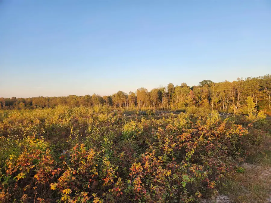 40 Acres (1st) Monroe (easement), Harrison, MI 48625 - Image #2