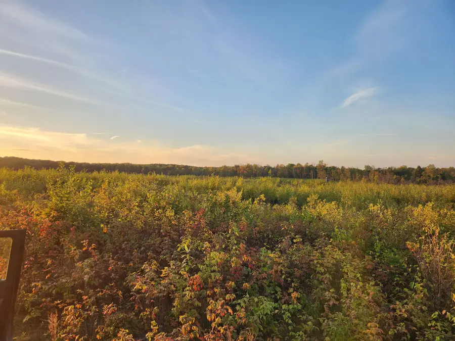 40 Acres (1st) Monroe (easement), Harrison, MI 48625 - Image #3