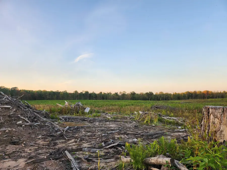 40 Acres (2nd) Monroe (easement), Harrison, MI 48625 - Image #2