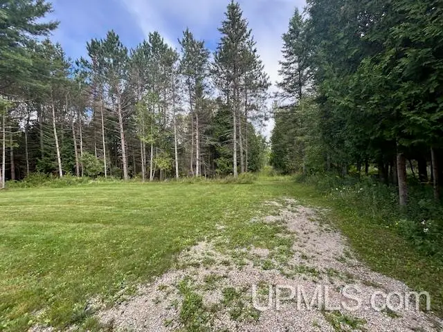 3338 M-94, Chatham, MI 49816 - Image #3