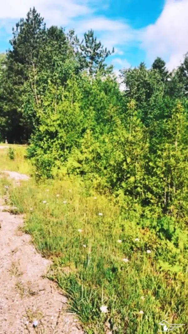 0000 Grace Harbor, Onaway, MI 49765