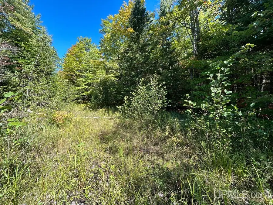 40 Acres Camp, Shingleton, MI 49884 - Image #2