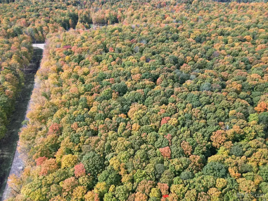 TBD 26th Rd Parcel A, Gladstone, MI 49837 - Image #2