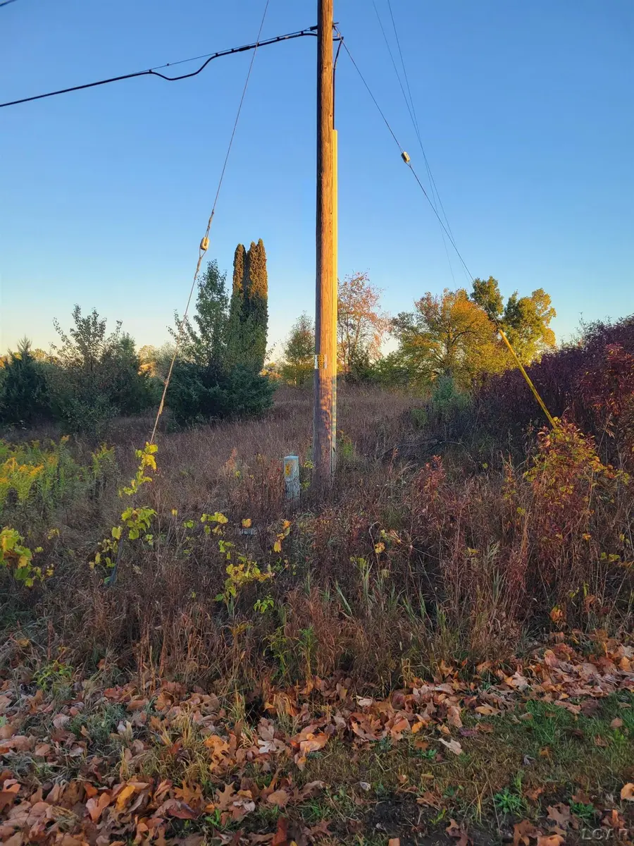 10380 Heatherlawn, Jerome, MI 49249 - Image #2