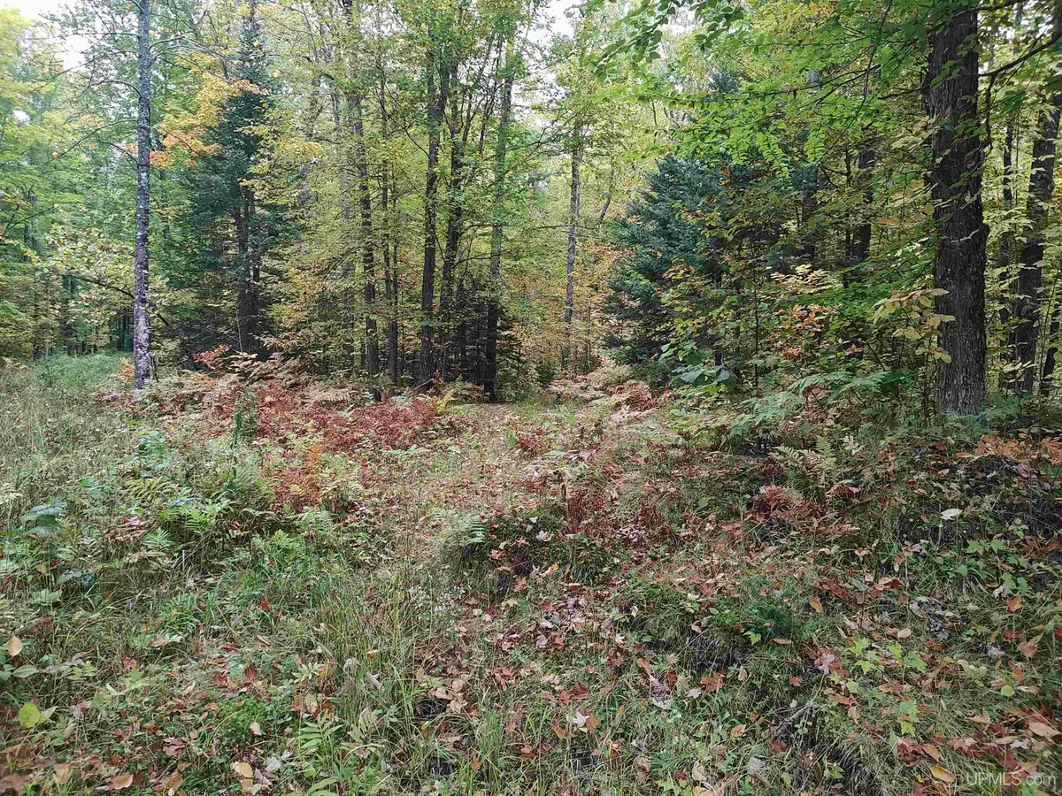 TBD S Laird, Pelkie, MI 49958 - Image #1