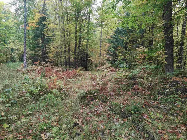 TBD S Laird, Pelkie, MI 49958