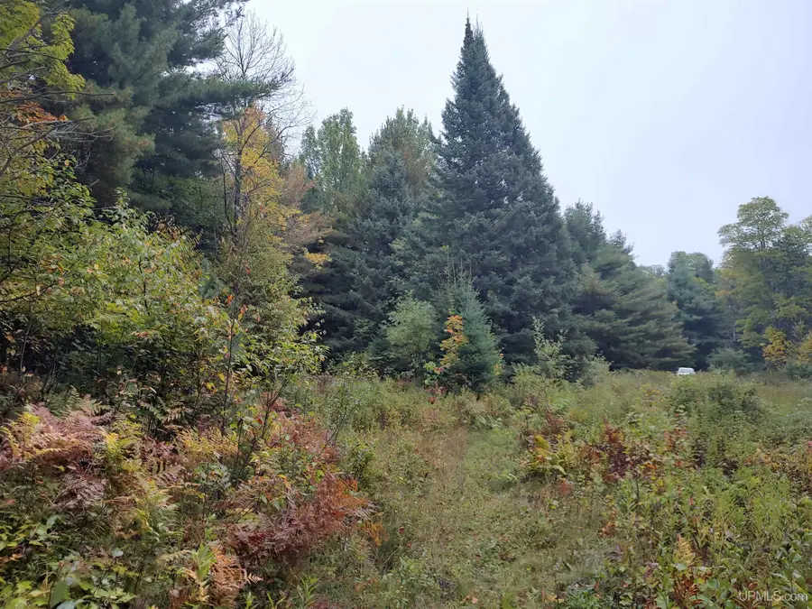 TBD S Laird, Pelkie, MI 49958 - Image #3
