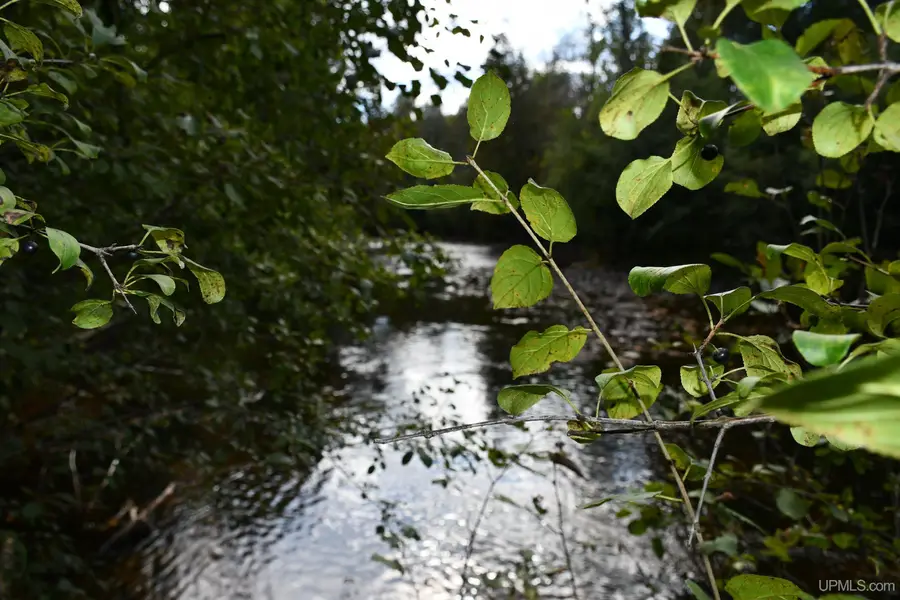 Lot #14 Northwoods, Hardwood, MI 49834 - Image #2