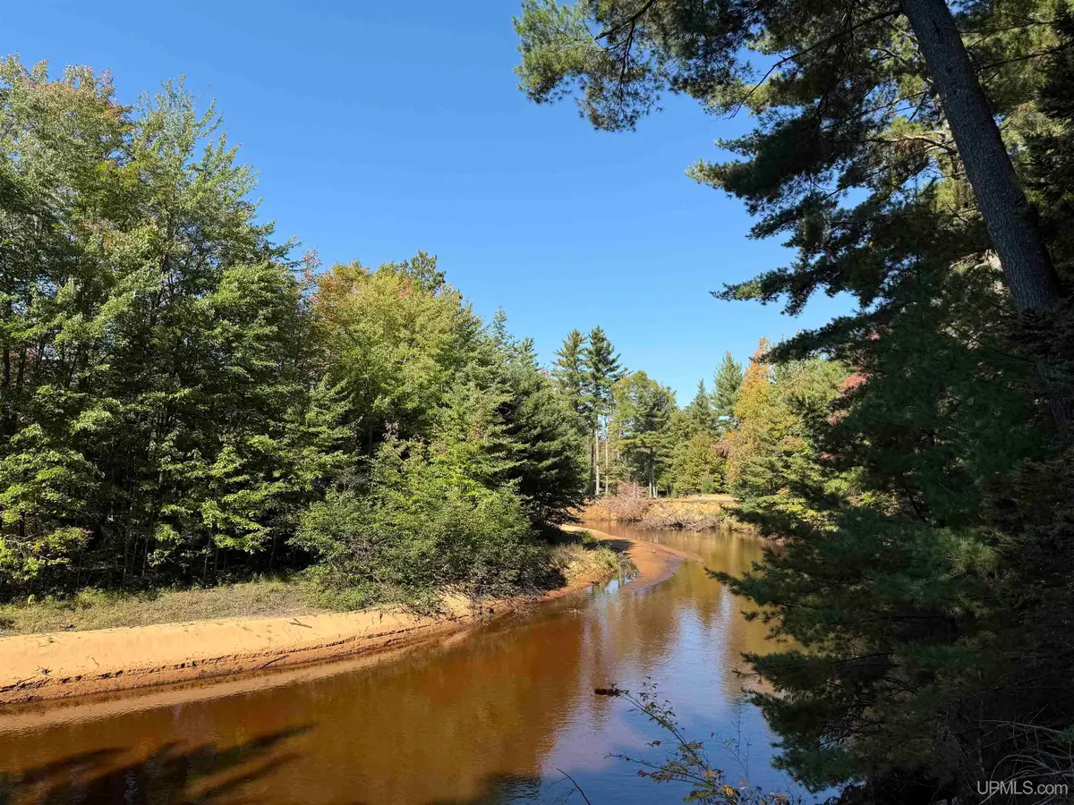 18.7 Acres On Cals Dr, Manistique, MI 49854 - Image #1