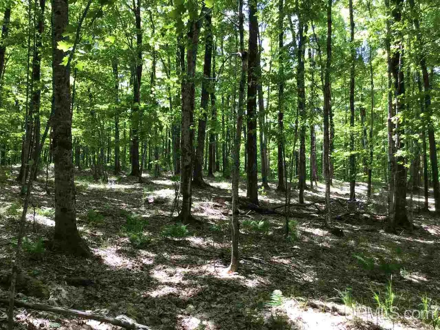 TBD Co Rd 496 (a), Champion, MI 49814 - Image #2