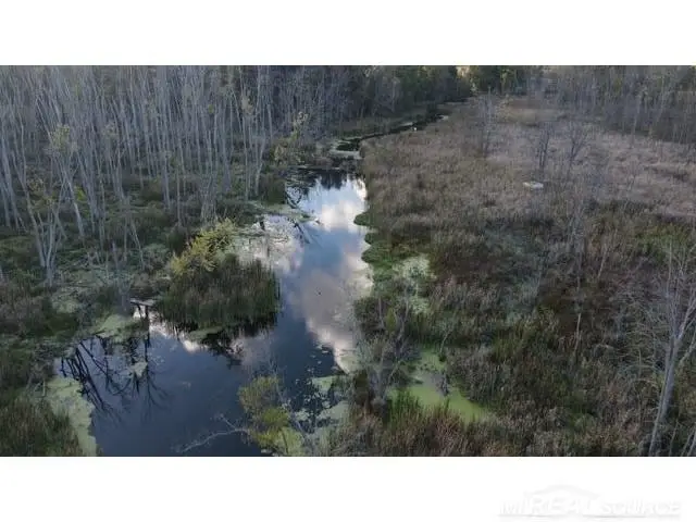 12324 S 31st, Vicksburg, MI 49097 - Image #2